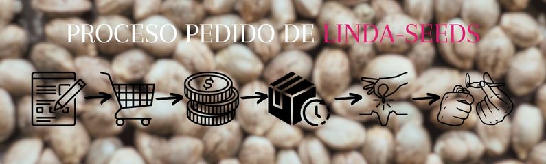 Proceso de pedido de semillas de marihuana Proceso de pedido de semillas de marihuana